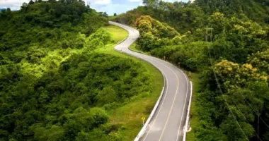 Environmental impact