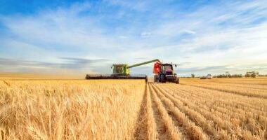 A Tractor And Combine Harvester In A Field On A Sunny Day Representing Seamless Final Mile Delivery For Agricultural Equipment