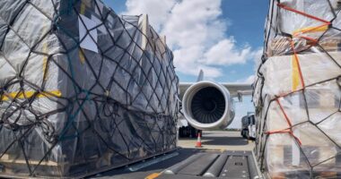 Preparation Before Flight. Loading Of Cargo Containers Against Jet Engine Of Freight Airplane